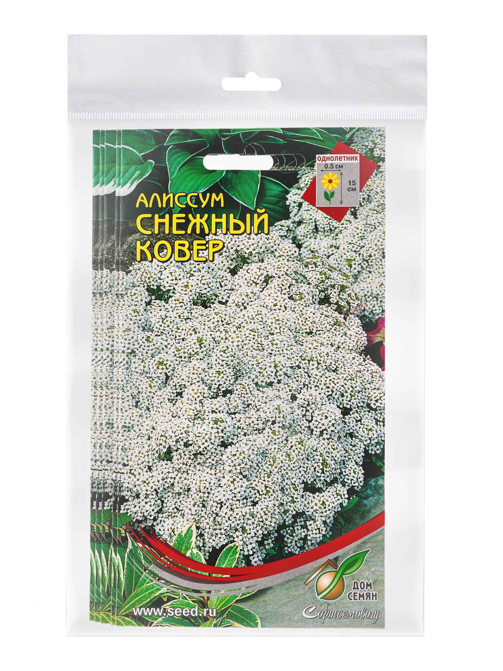Семена Алиссум Снежный ковёр